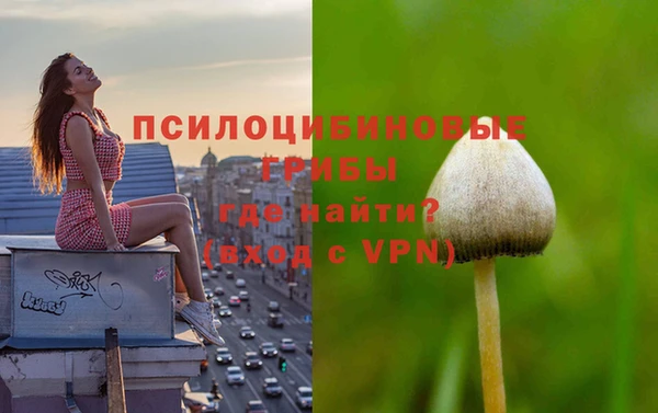 гидра Абинск