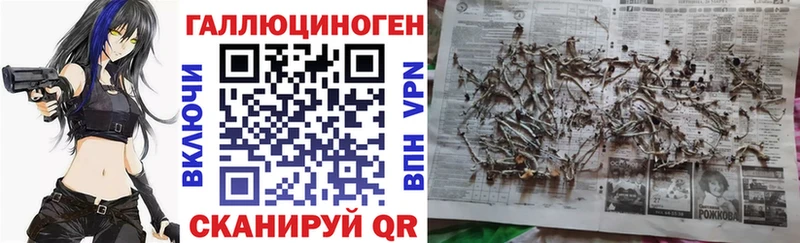 это Telegram  hydra вход  Курчатов  Псилоцибиновые грибы мухоморы 