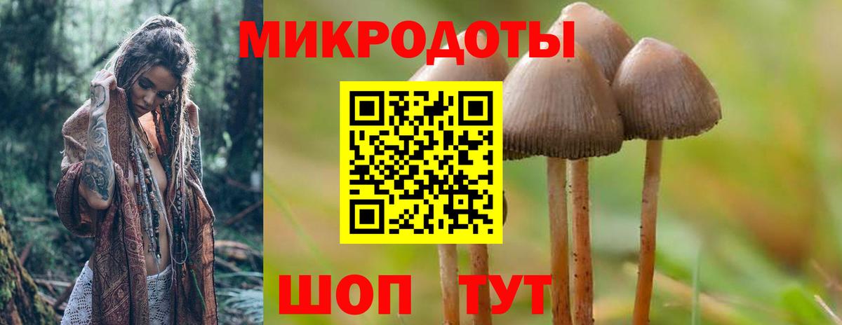 Курчатов  Псилоцибиновые грибы ЛСД  Вход с VPN 